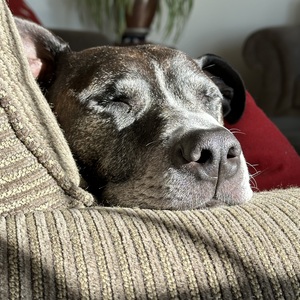 Fundraising Page: Juanita Wheeler